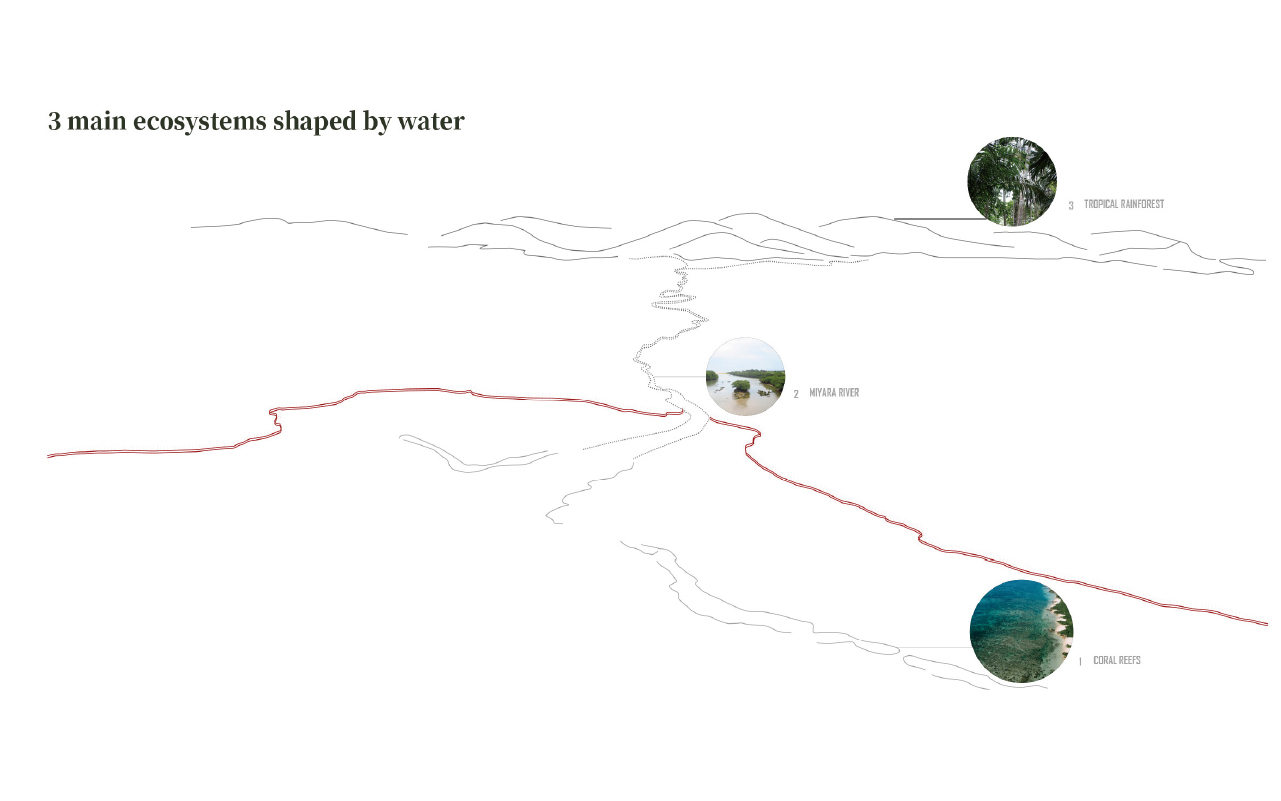 3 main ecosystems shaped by water