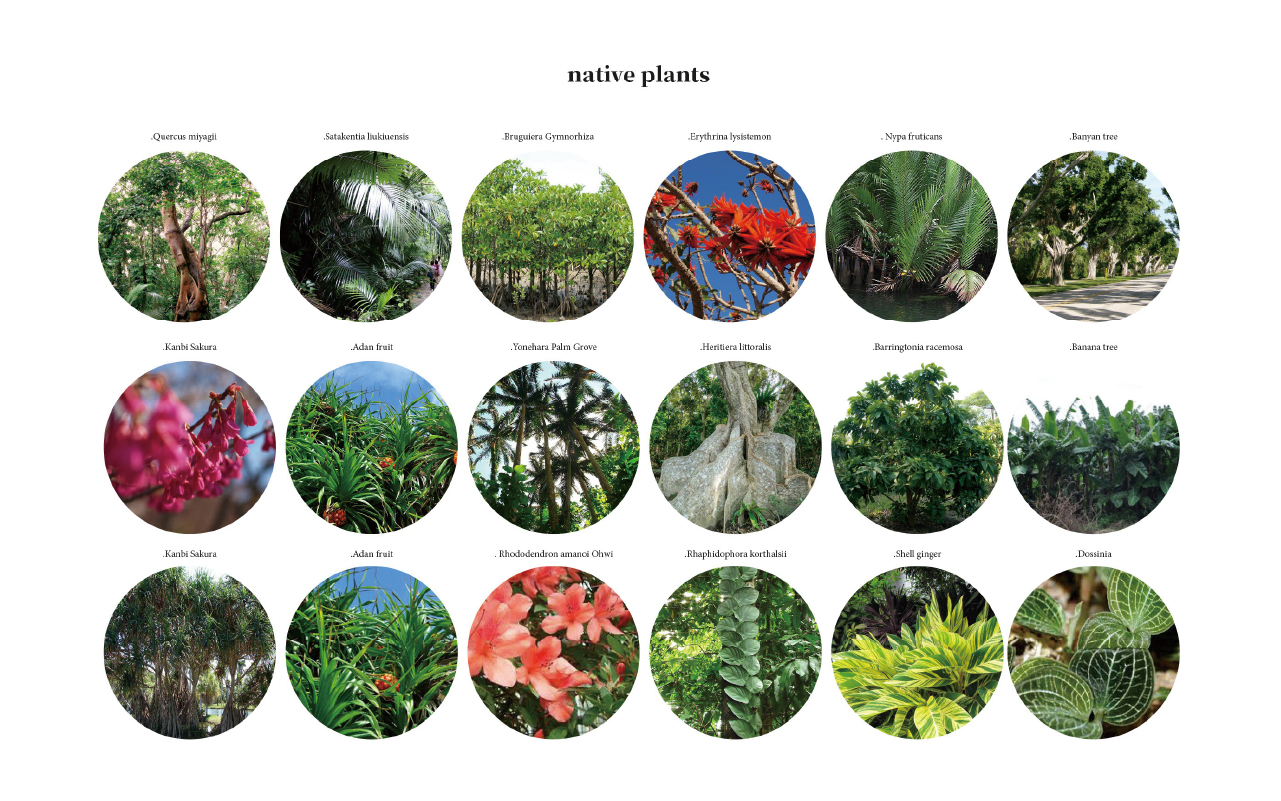 native plants